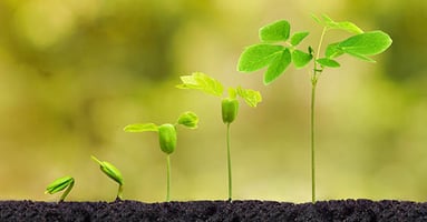 How Your Board Should Evolve Over Your Nonprofit’s Life